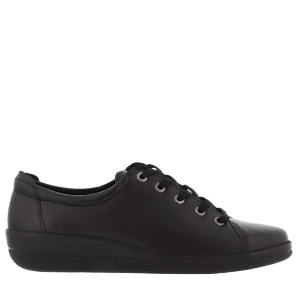 Andando Collection Rialto