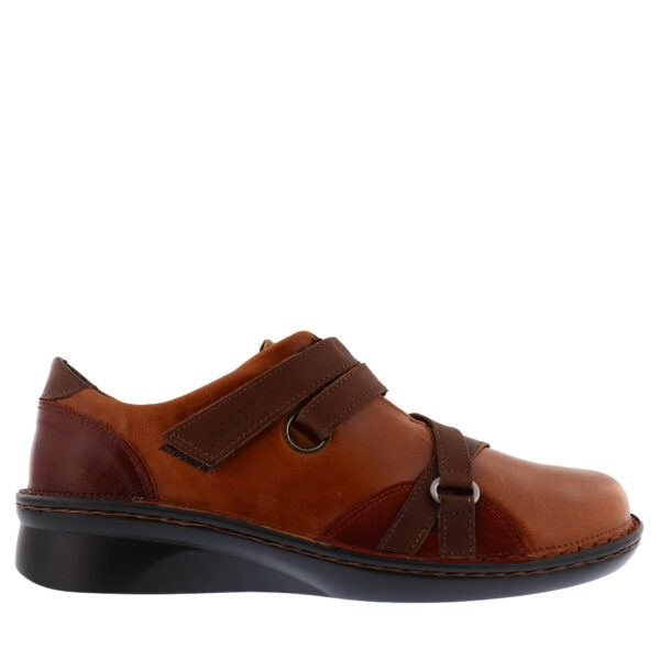 aw20_naot_mambo2_sgvmaple_01