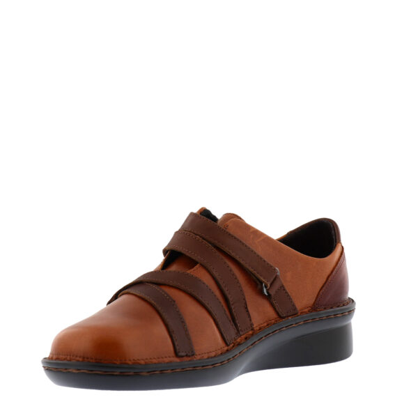 aw20_naot_mambo2_sgvmaple_03