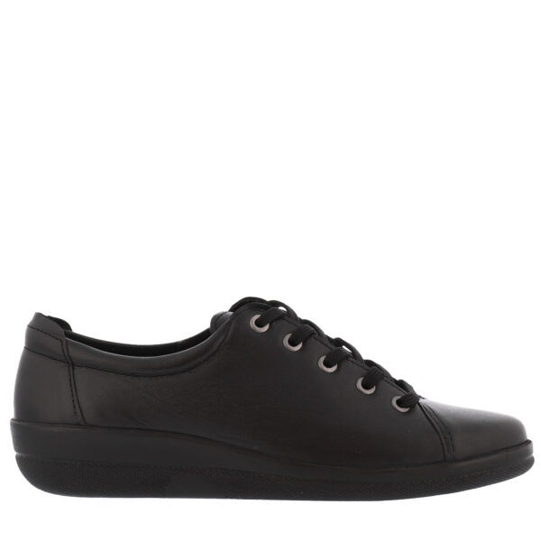 Andando Collection Rialto