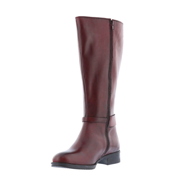 AW23_JJFOOTWEAR_JJ-1500885_BORDO_03