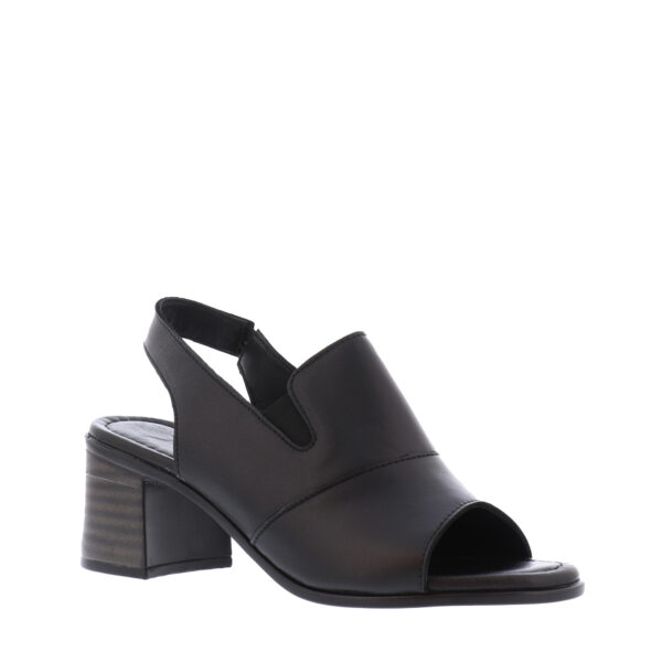 SS24_VENUS_VENUS-24381825Y_BLACK_02