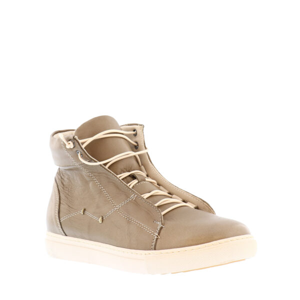 AW25_SAFEST_ST-18408_ELMWOOD_02