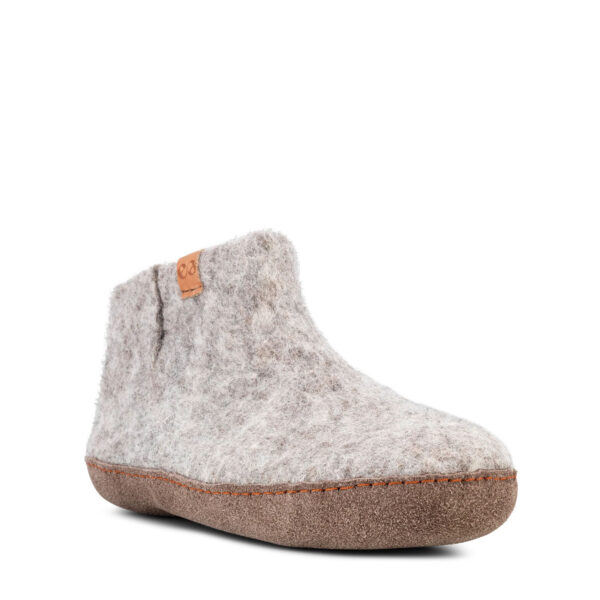 WBG-EVEREST-GREY-02-01