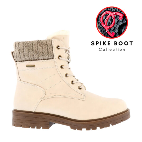 Taxi Kaitlyn 03 Wp Spikeboot
